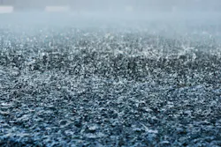 1680130411161 Rainfall 1680130411161 Rainfall