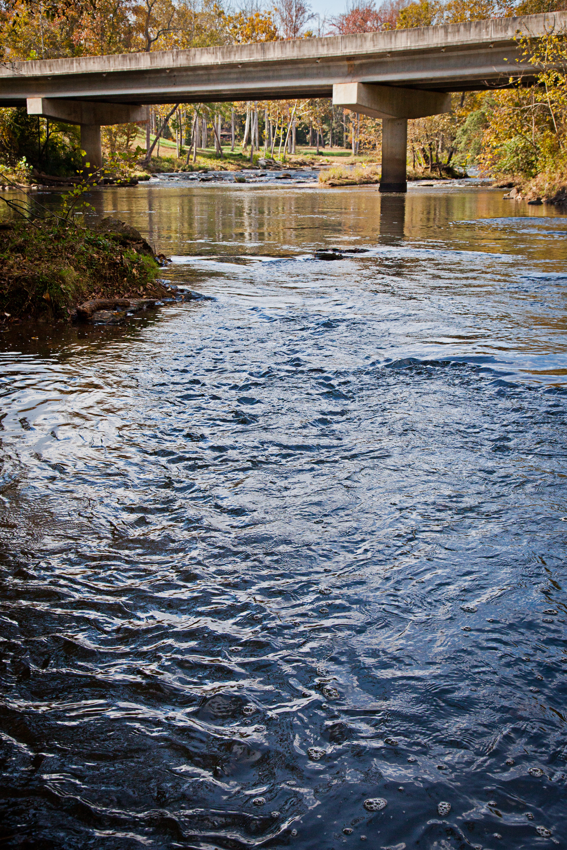 1680130895934 Woolpert Ideal Greenville County 2