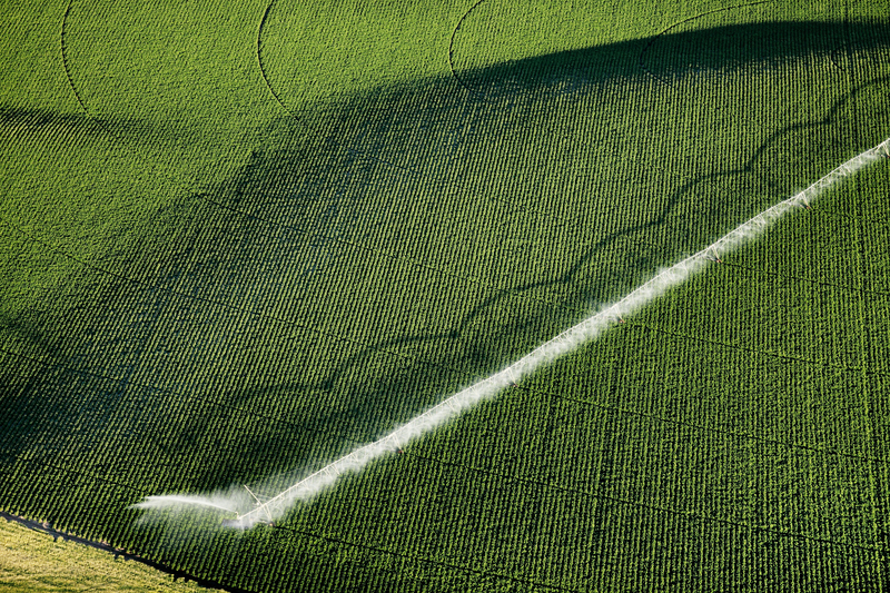 1680131167067 Dreamstime S 164098052