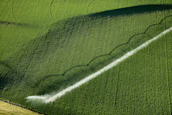 1680131167067 Dreamstime S 164098052 1680131167067 Dreamstime S 164098052