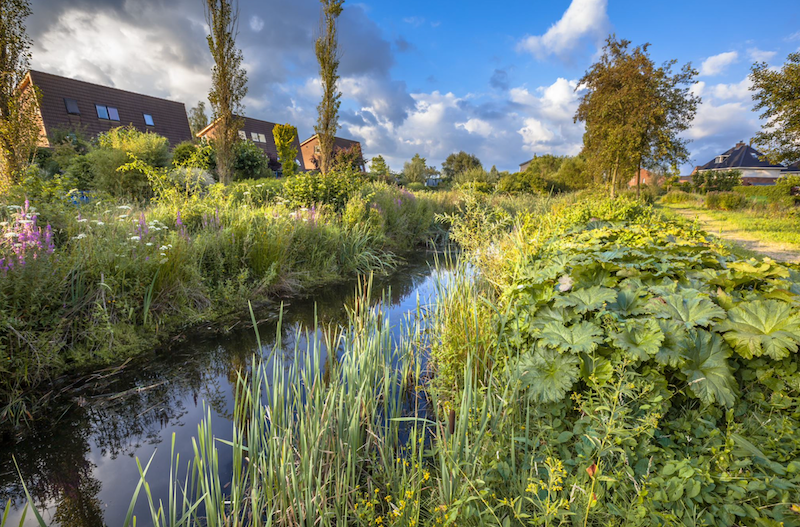 Some larger-scale developments have many LID options, including implementing vegetated bioswales and grass buffer strips along paved areas