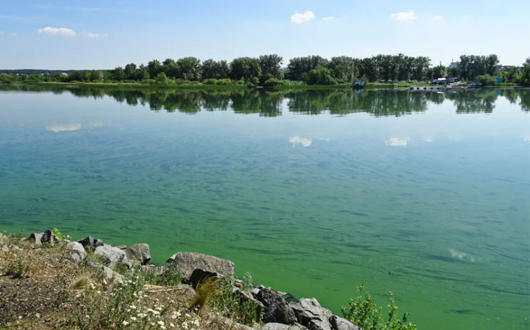 1680131824362 Screen Shot 2022 06 27 At 3