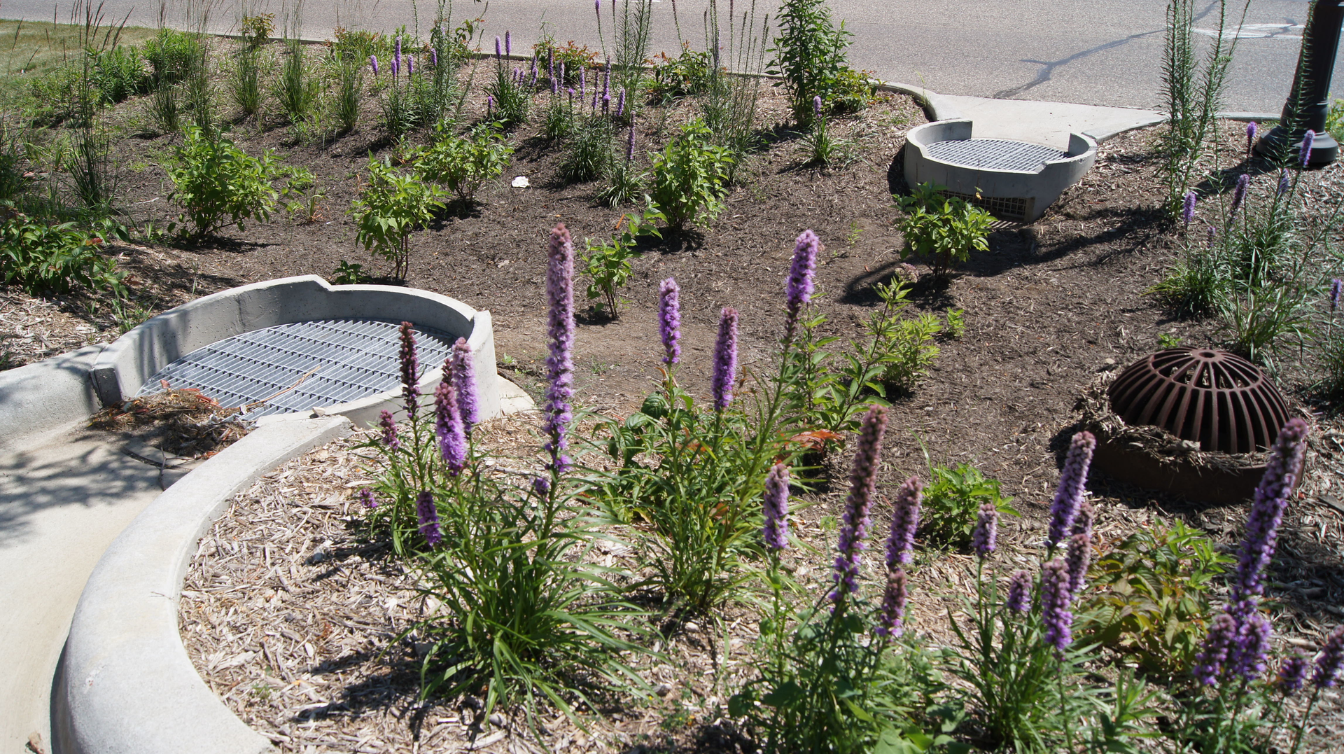 Rain Guardian Turret