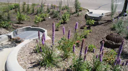 Rain Guardian Turret Rain Guardian Turret