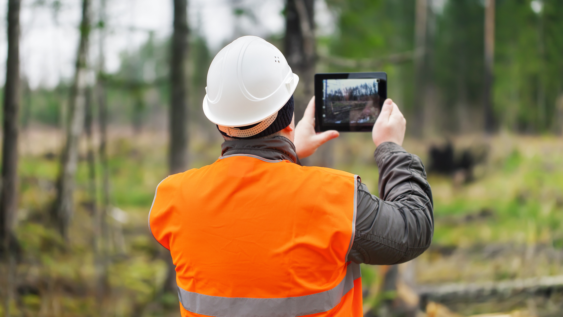 Dreamstime L 36180798 640b47fc5c256