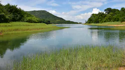 Dreamstime Xxl 57552709 6424860b9b4f4 Dreamstime Xxl 57552709 6424860b9b4f4