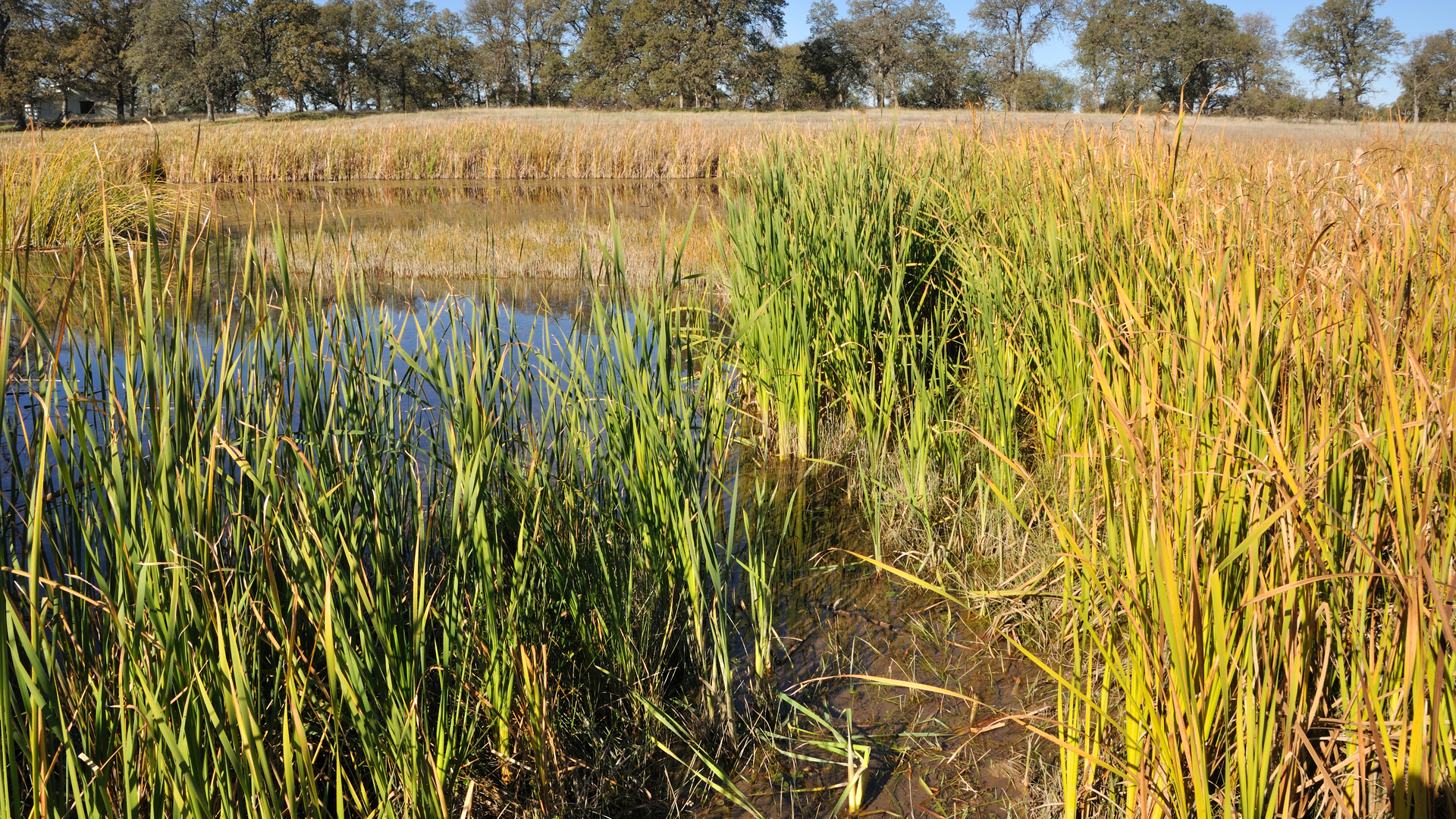 Dreamstime Xxl 15040559 6434351907766