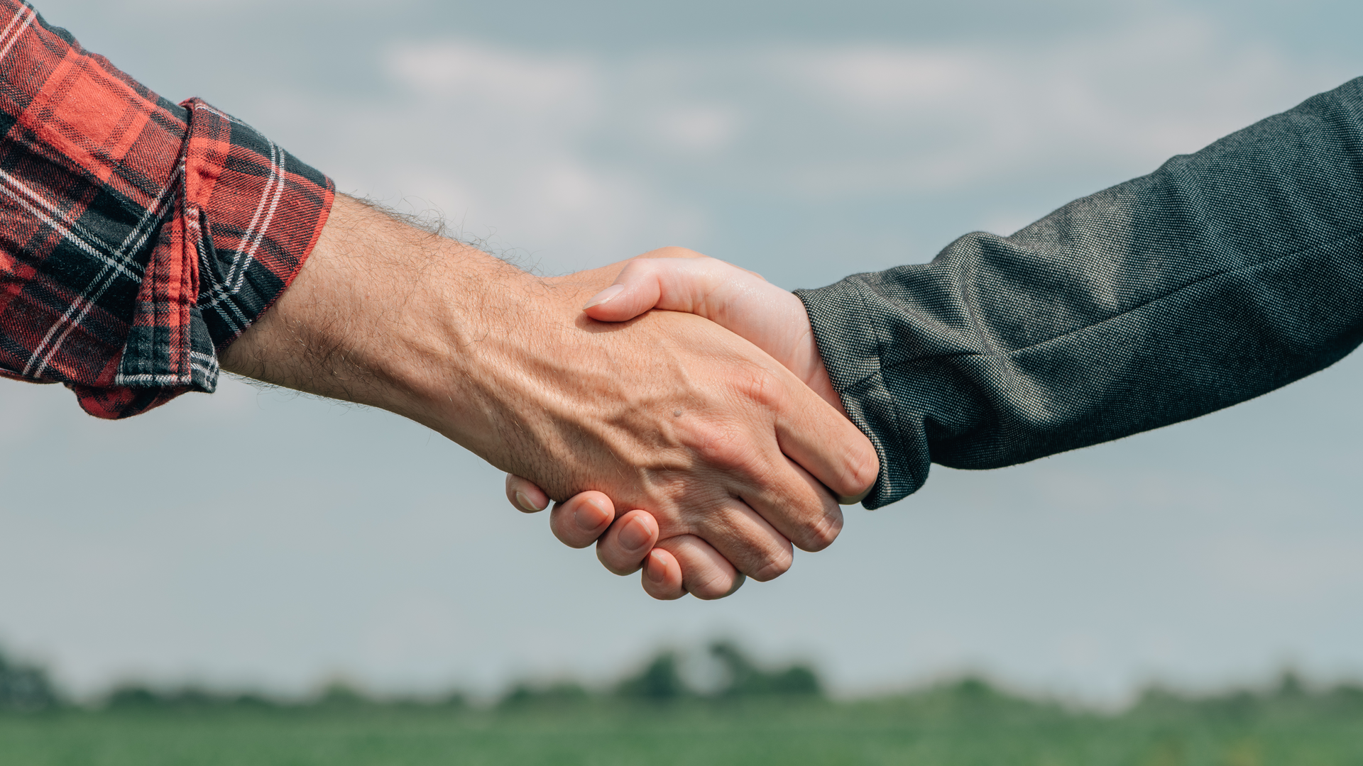 Dreamstime Xxl 185069260