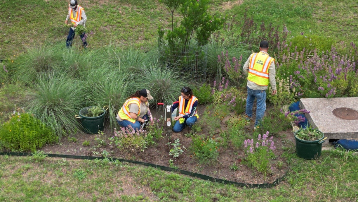 Crew performing maintenance and infiltration testing on rain garden.