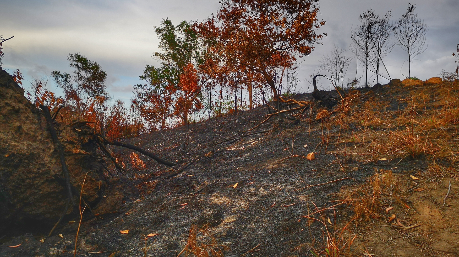 Dreamstime Xl 143434361 64b964c0a1896