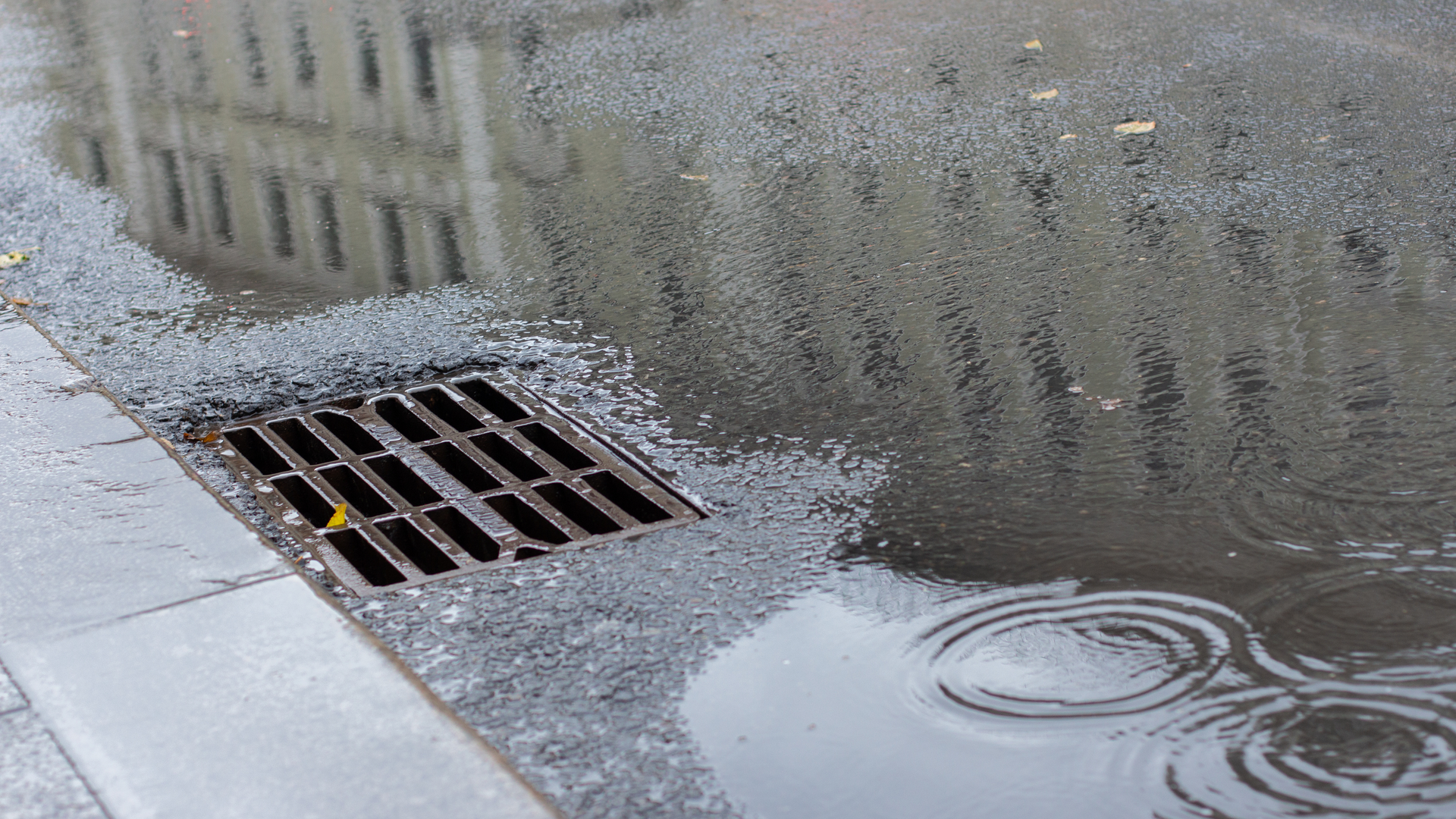 Dreamstime Xl 161935770 1 64adbc9b35e73