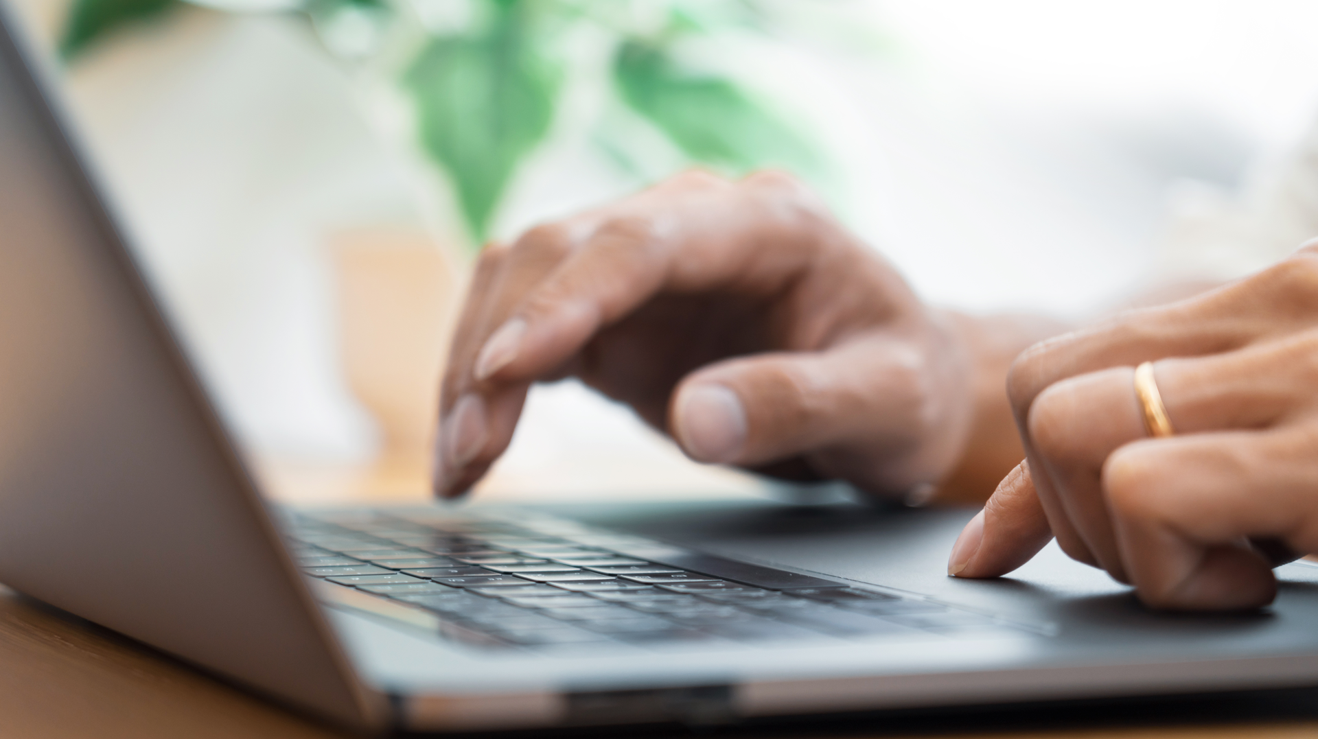 Dreamstime Xxl 149778479