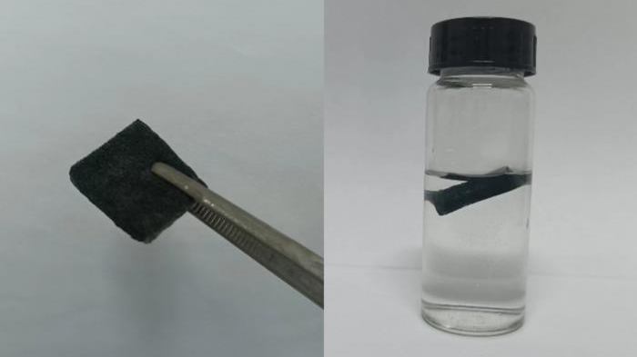 Low Res 080923 Algal Bloom Sponge 64cd1920e3f45