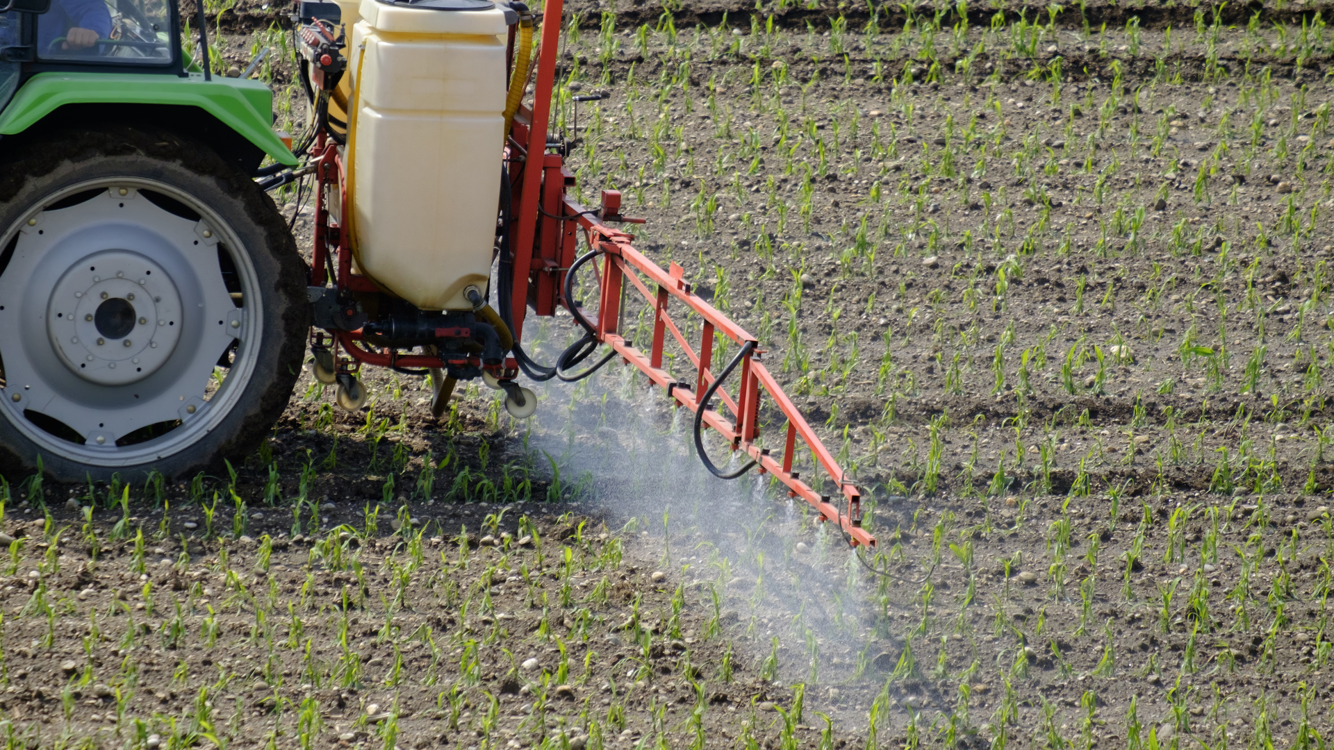 Dreamstime Xxl 128598941 64e63b0e448e1