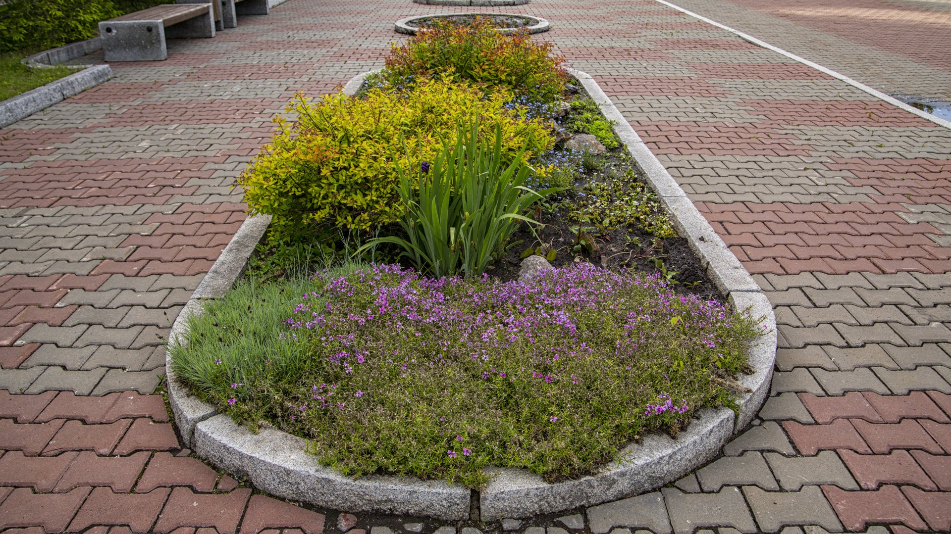 Dreamstime Xl 188444442 64ff6dd231bfb