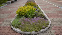 Dreamstime Xl 188444442 64ff6dd231bfb Dreamstime Xl 188444442 64ff6dd231bfb