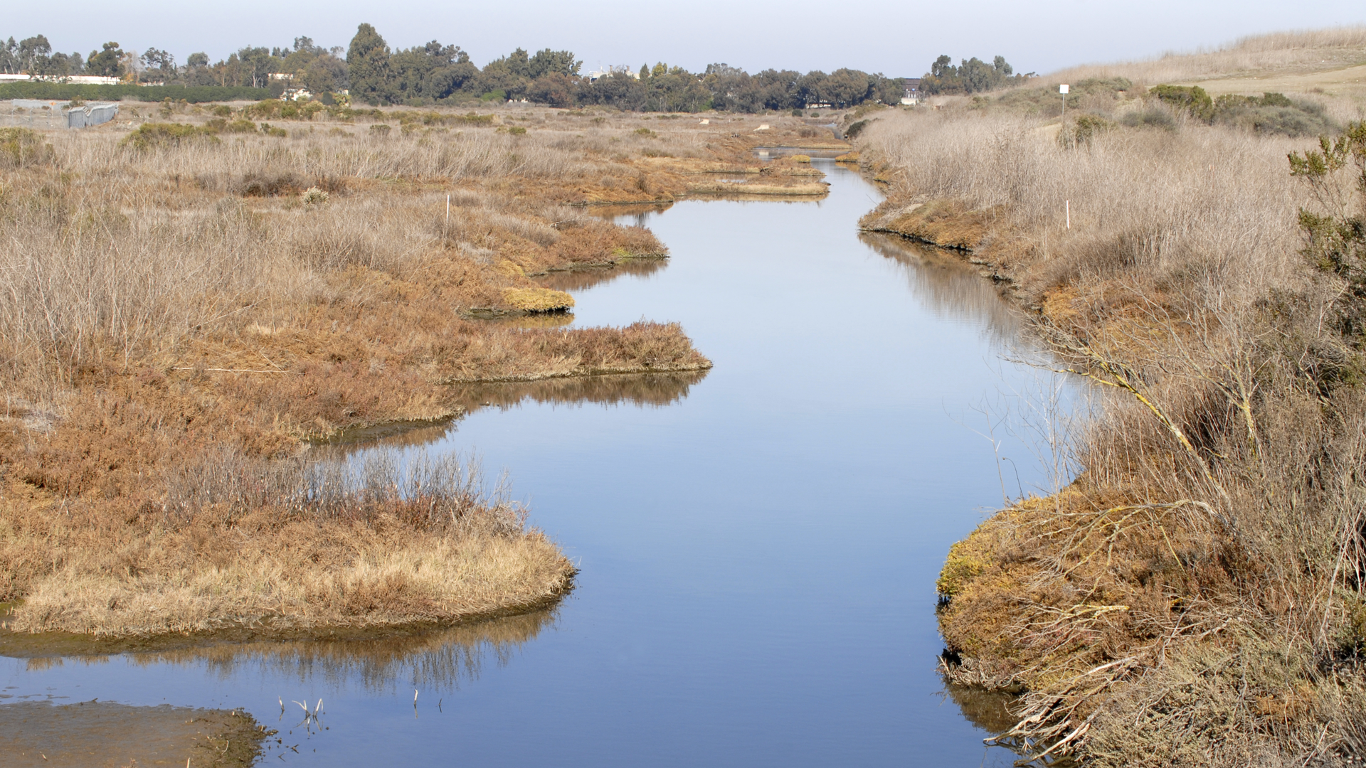 Dreamstime Xxl 14273006 650b19ef2e268