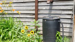 654a554c259385001d1bb18c Untitled 17 654a554c259385001d1bb18c Untitled 17