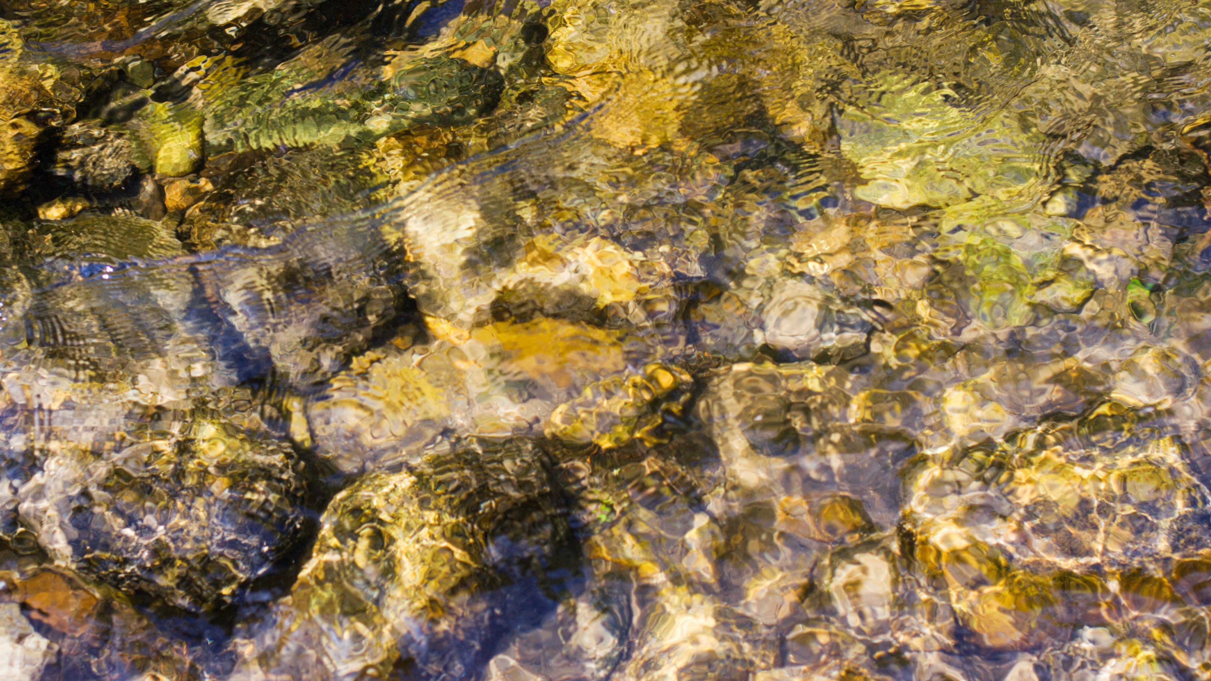 6578976c36ab68001d541e41 Dreamstime Xxl 2953006