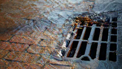 658db04592a929001eca4f03 Dreamstime Xxl 19048903 658db04592a929001eca4f03 Dreamstime Xxl 19048903