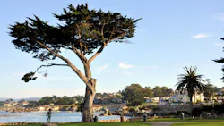 6602cf3bf8cc0c001e98d653 Dreamstime Xxl 16442921 6602cf3bf8cc0c001e98d653 Dreamstime Xxl 16442921