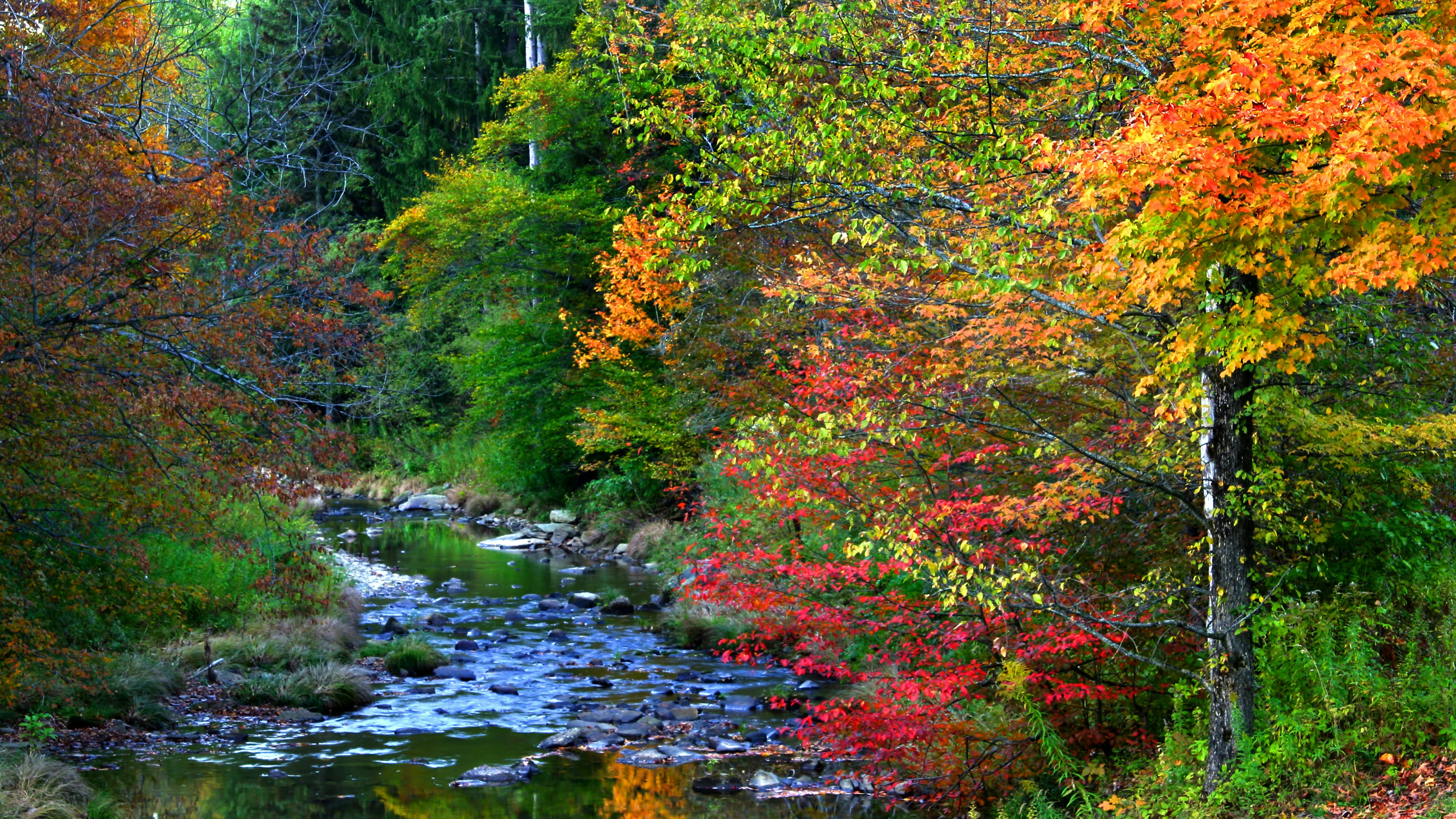 661e88fe4dba7b001e8ddaf5 Dreamstime Xxl 11107067