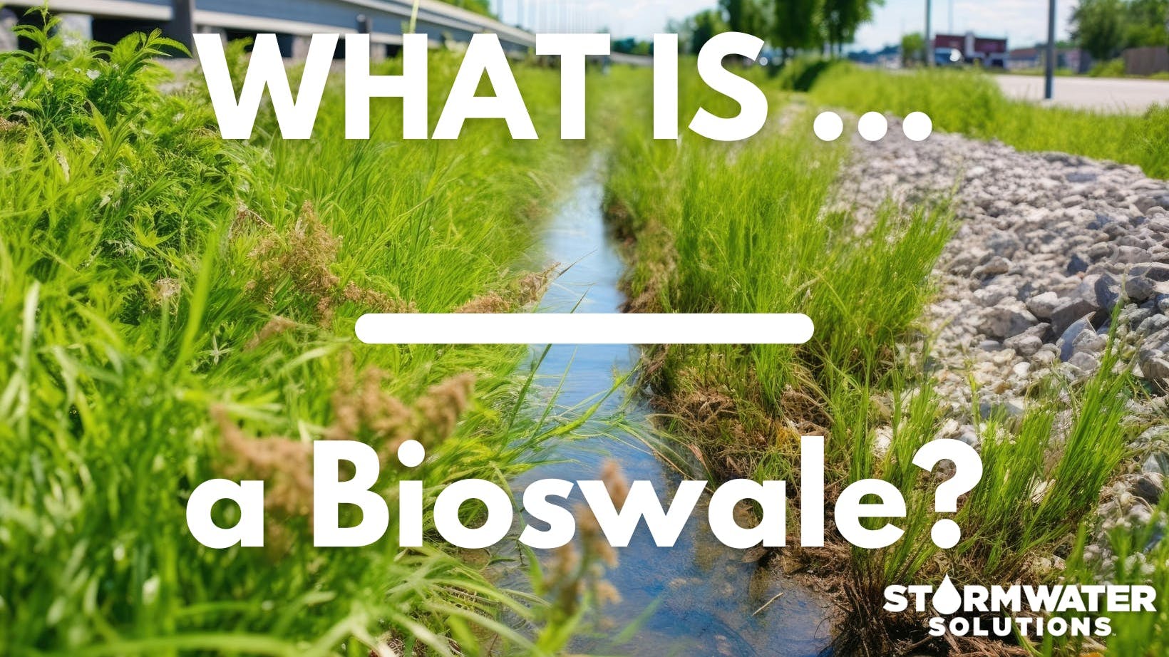 662bac2403ecd8001e244b3c What Is