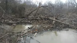 Figure 2: Log jam observed north of Highway 380, December 28, 2023. Figure 2: Log jam observed north of Highway 380, December 28, 2023.