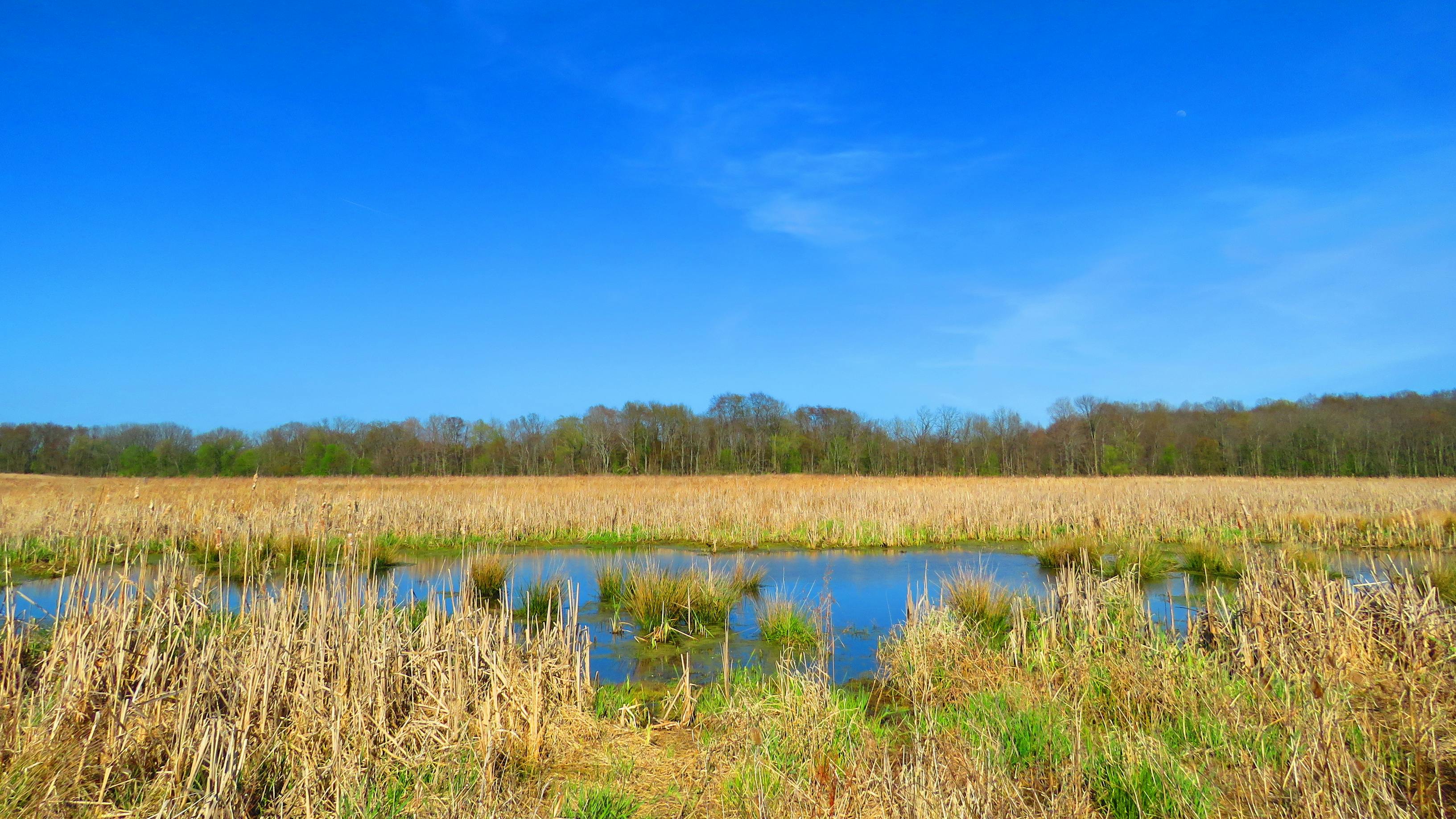 A man-made watershed in a park setting in spring.