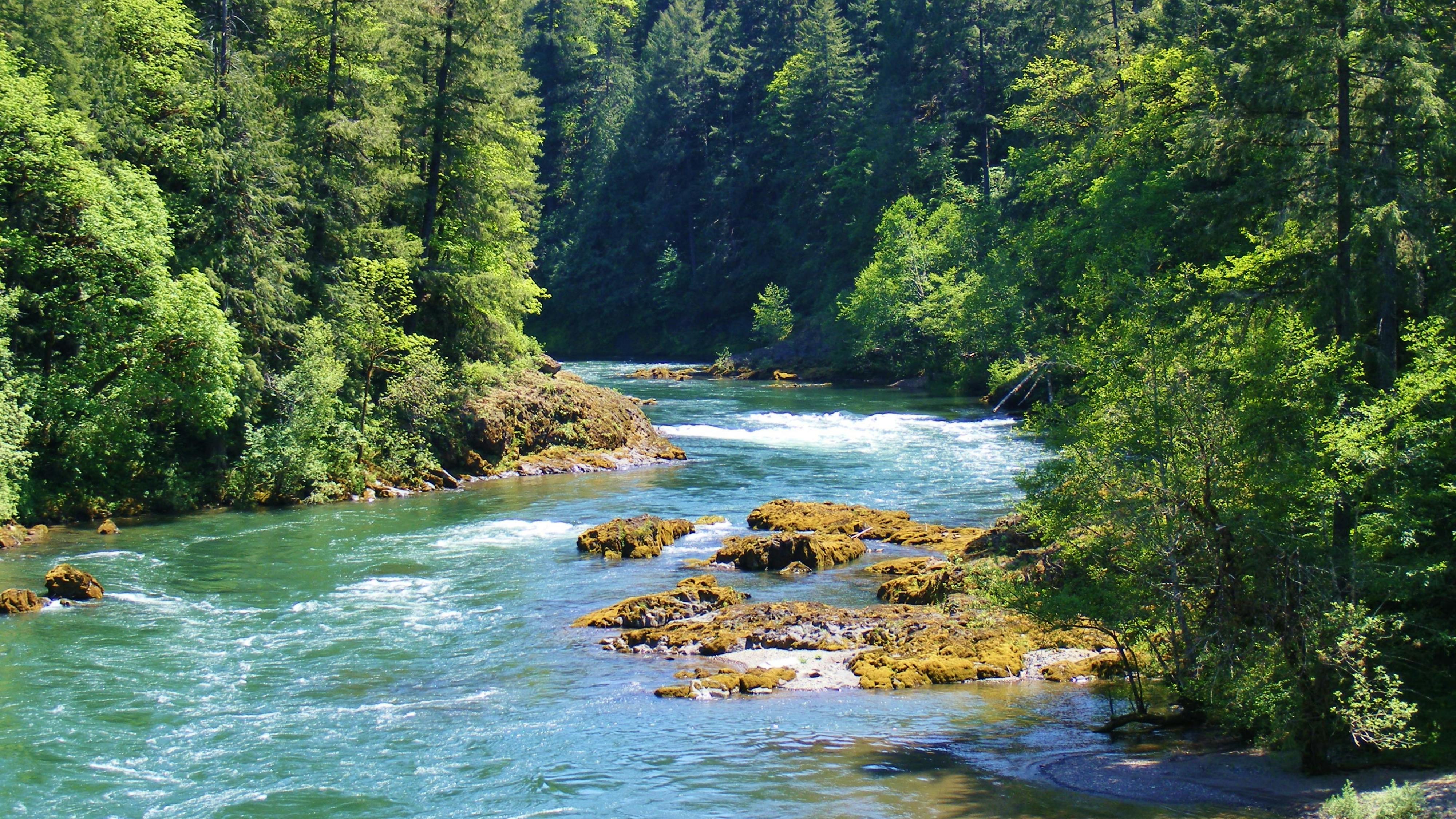 667ed7a21bb2d74d511d25bf Dreamstime Xxl 40213972