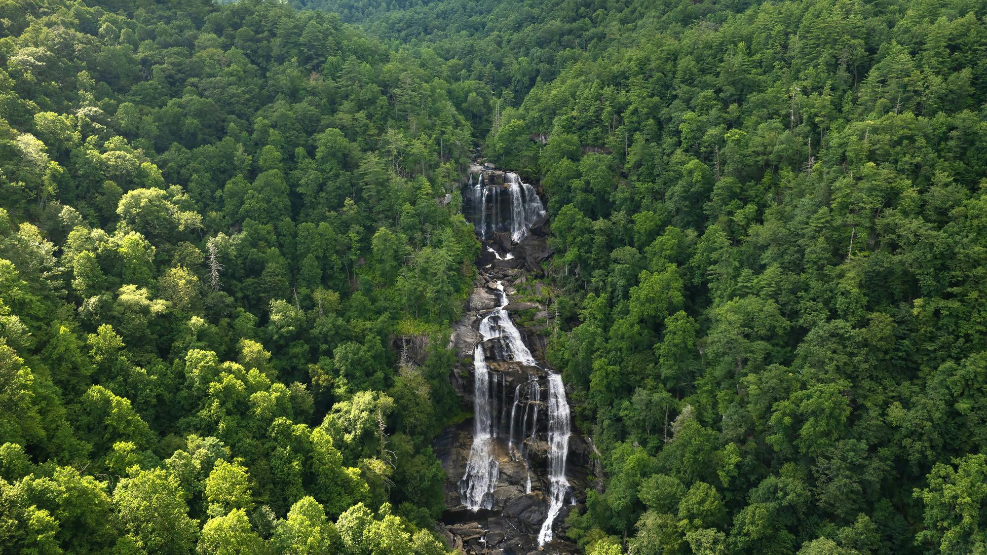 66b3c33585b0ba65a3e14c5b Dreamstime M 322512825