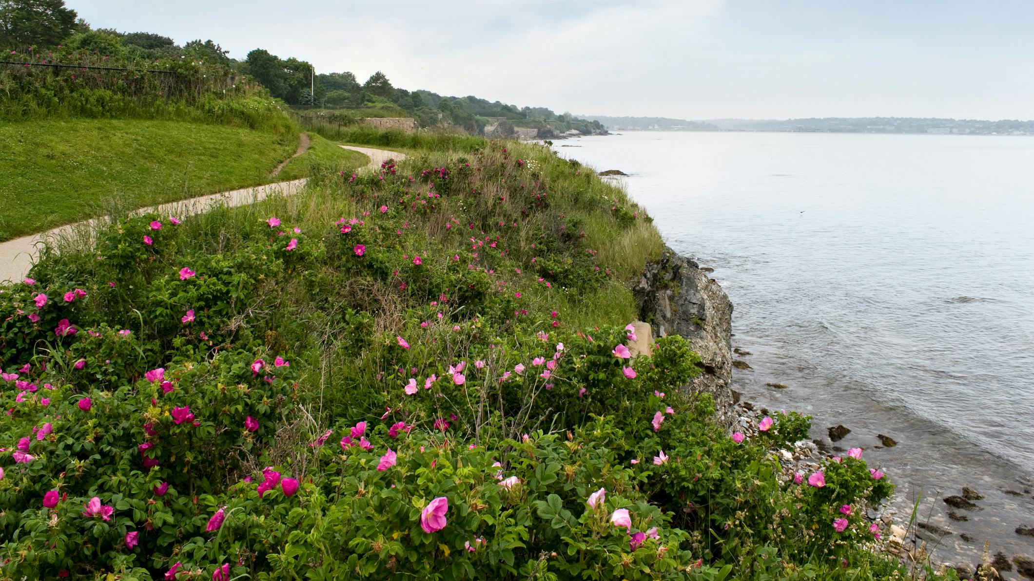 66bf73a9b1a60509aeedc59e Dreamstime M 14663081