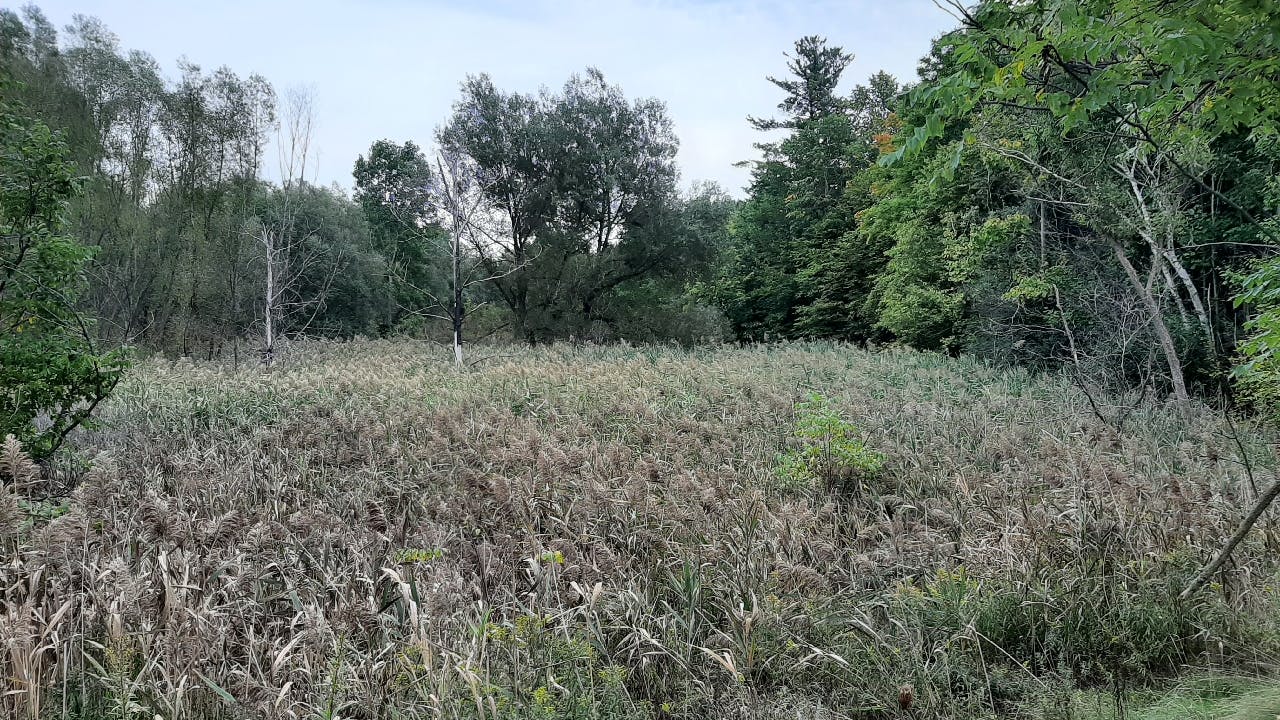 swmf26_before2022