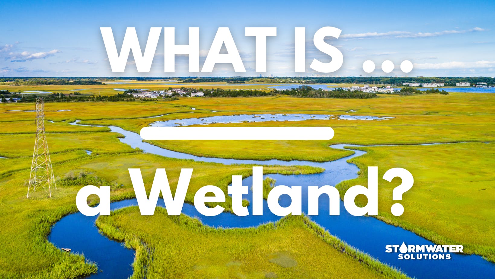 66eb3060cd0d0566895c5a0a What Is