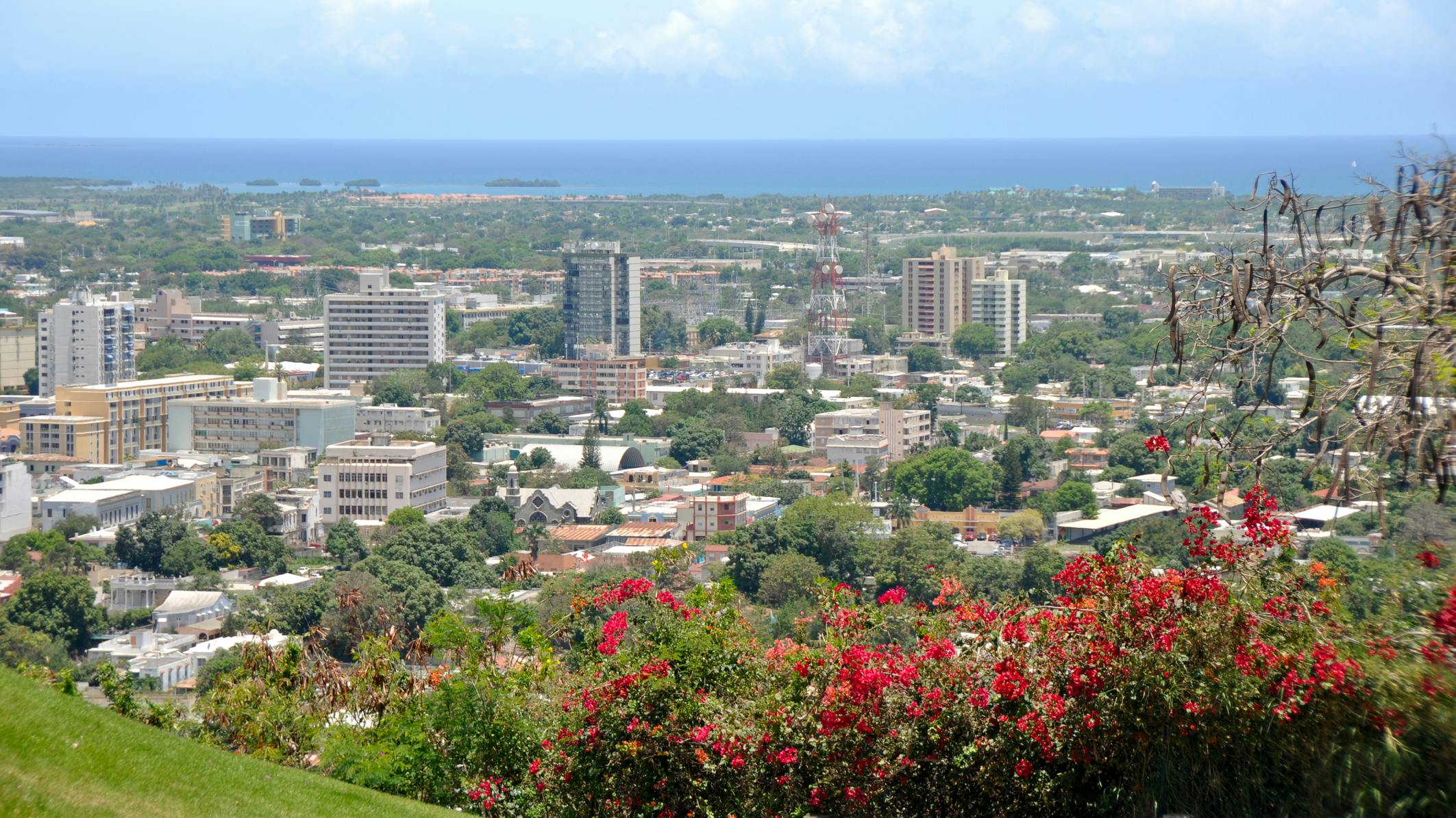 6717d1dea88ddeb03d9e5973 Dreamstime M 21877683