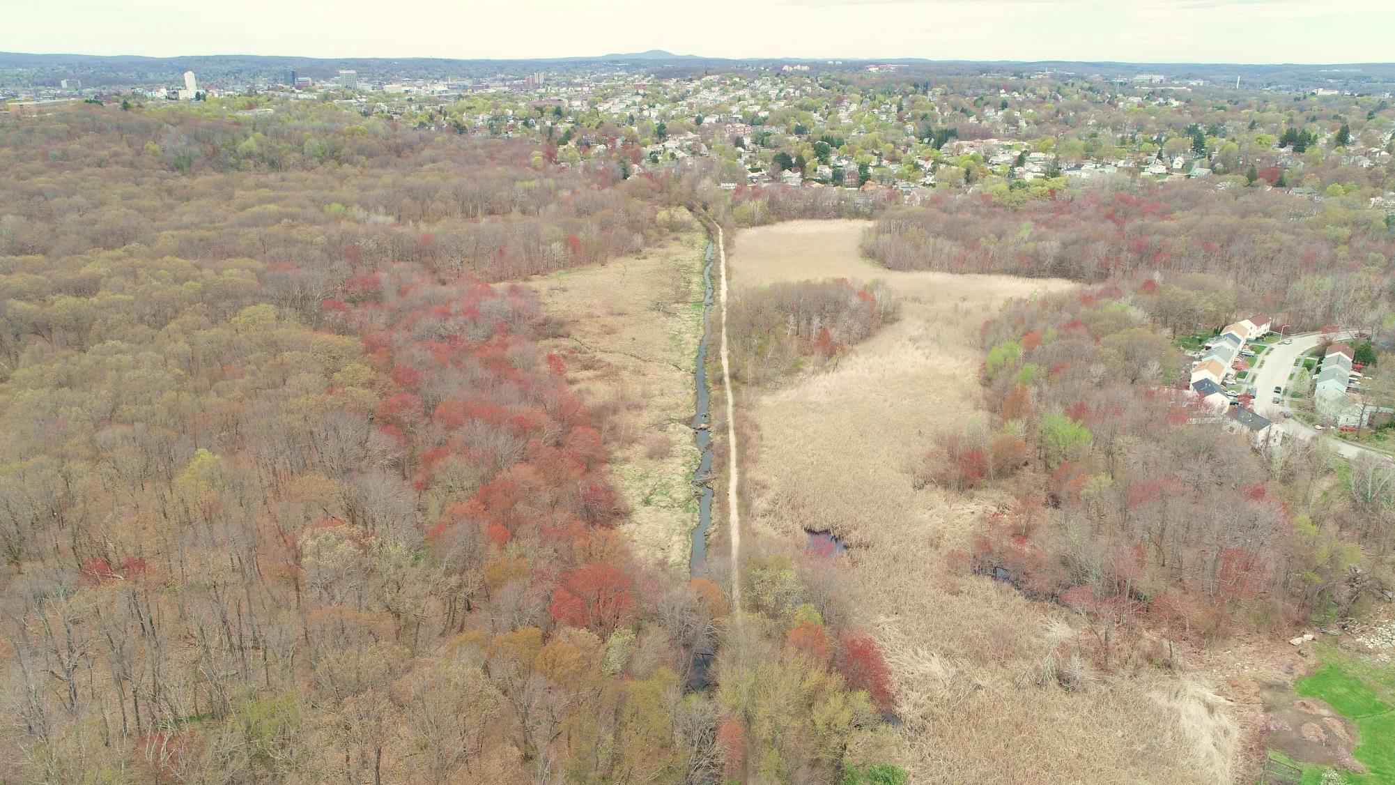 Figure 1: The Broad Meadow Brook Wildlife Sanctuary with its isolated eastern floodplain (right), looking north towards its urbanized watershed (top). Courtesy of City of Worcester.