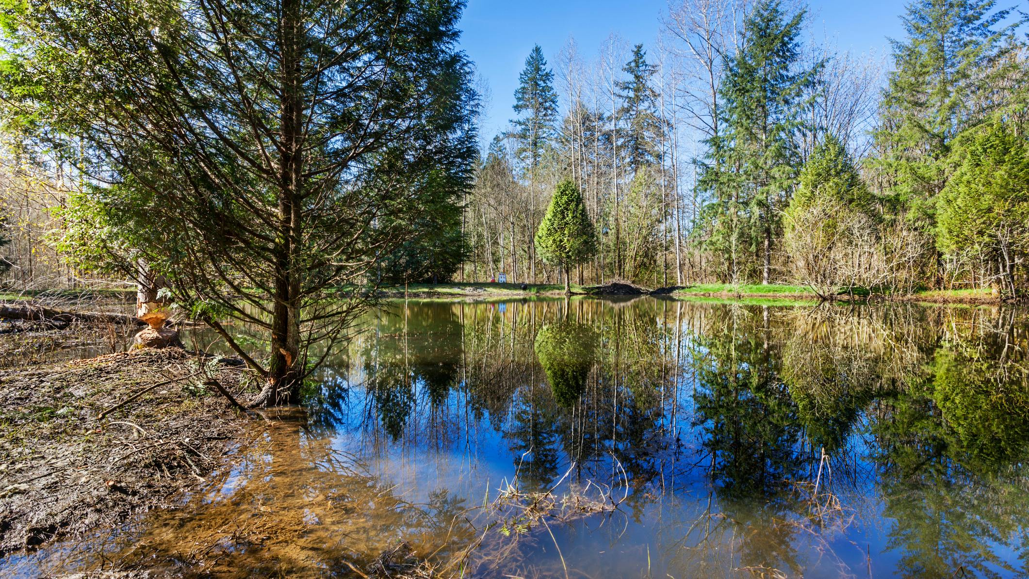 673b916b214cf931a36dbfe2 Dreamstime M 184811273