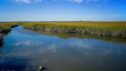 673bb7c0927f4a7703c2baae Dreamstime M 161366909 673bb7c0927f4a7703c2baae Dreamstime M 161366909