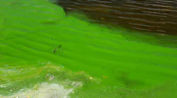 dreamstime_m_326130300 dreamstime_m_326130300