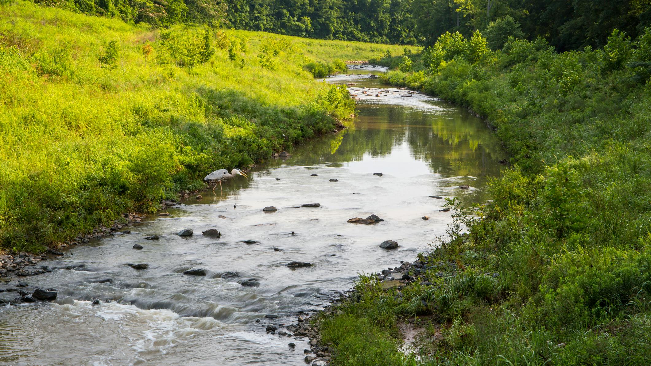 677835b91e8511c8d38fcb26 Dreamstime M 225958757