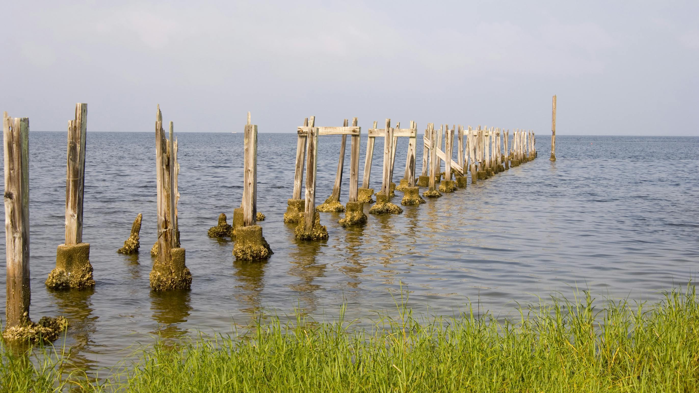 67a53065cba47b6df17fb43f Dreamstime L 1327374