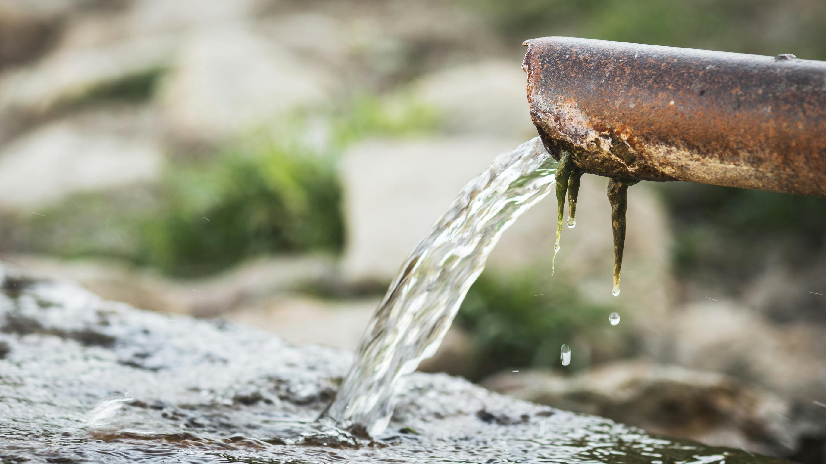 68068674f993e4fa91b7d941 Dreamstime L 115919268