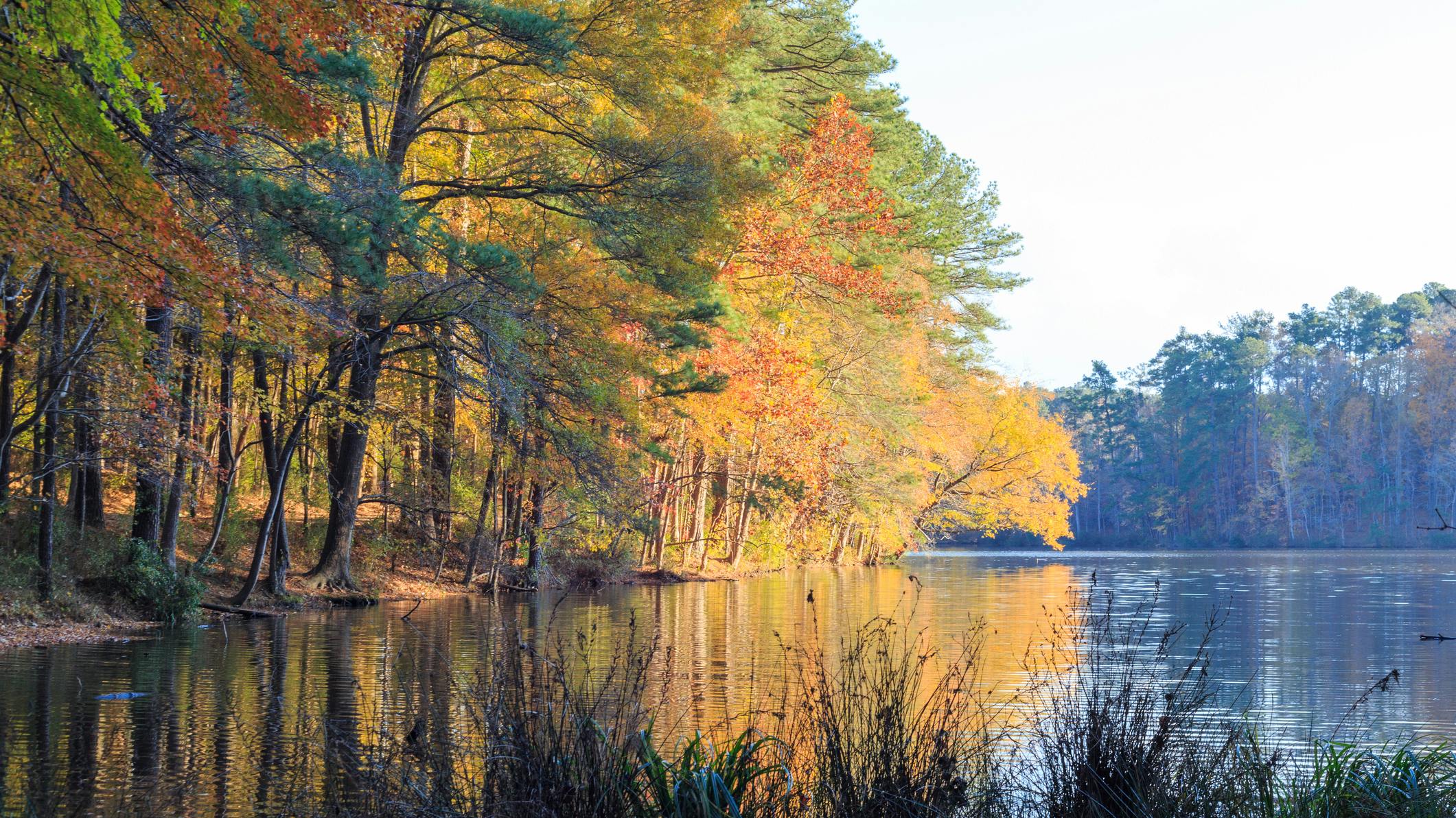 Lake Johnson in Raleigh, NC during fall season