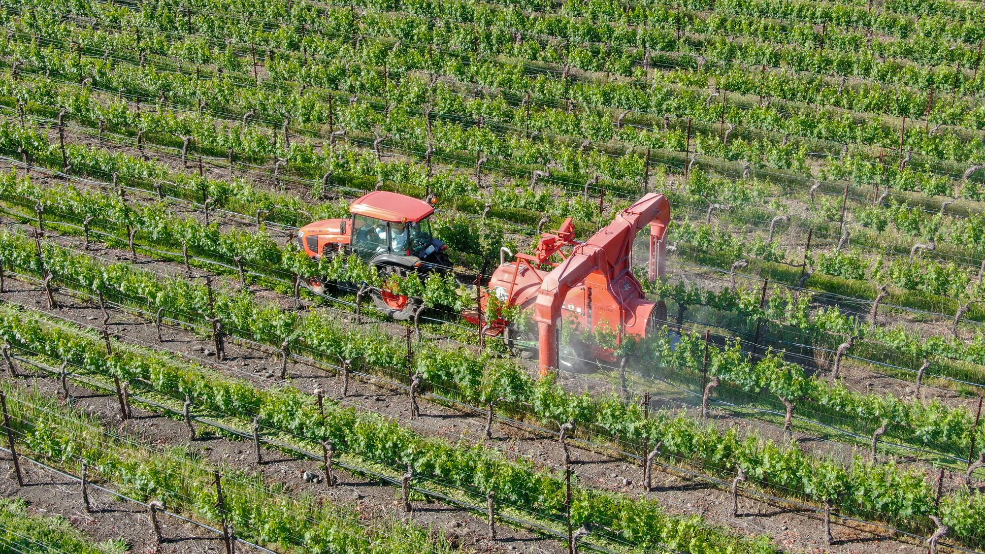 California North Coast Water Board to regulate discharges from vineyards