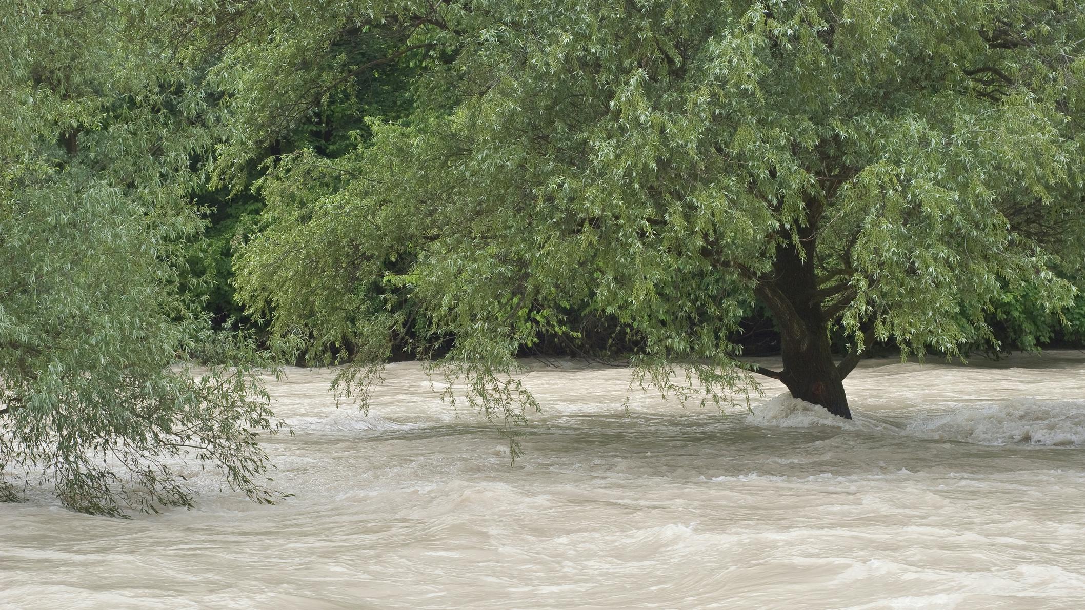 What to know about the Texas and North Carolina floods