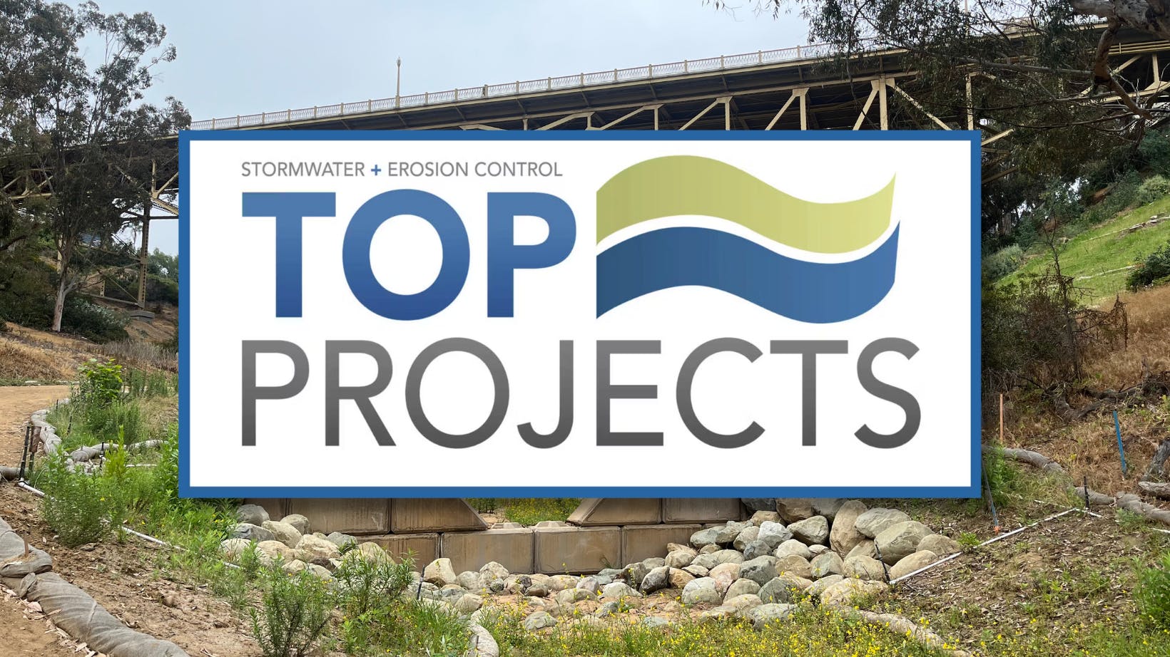 68b71501691f77b004ead776 Input Needed 1