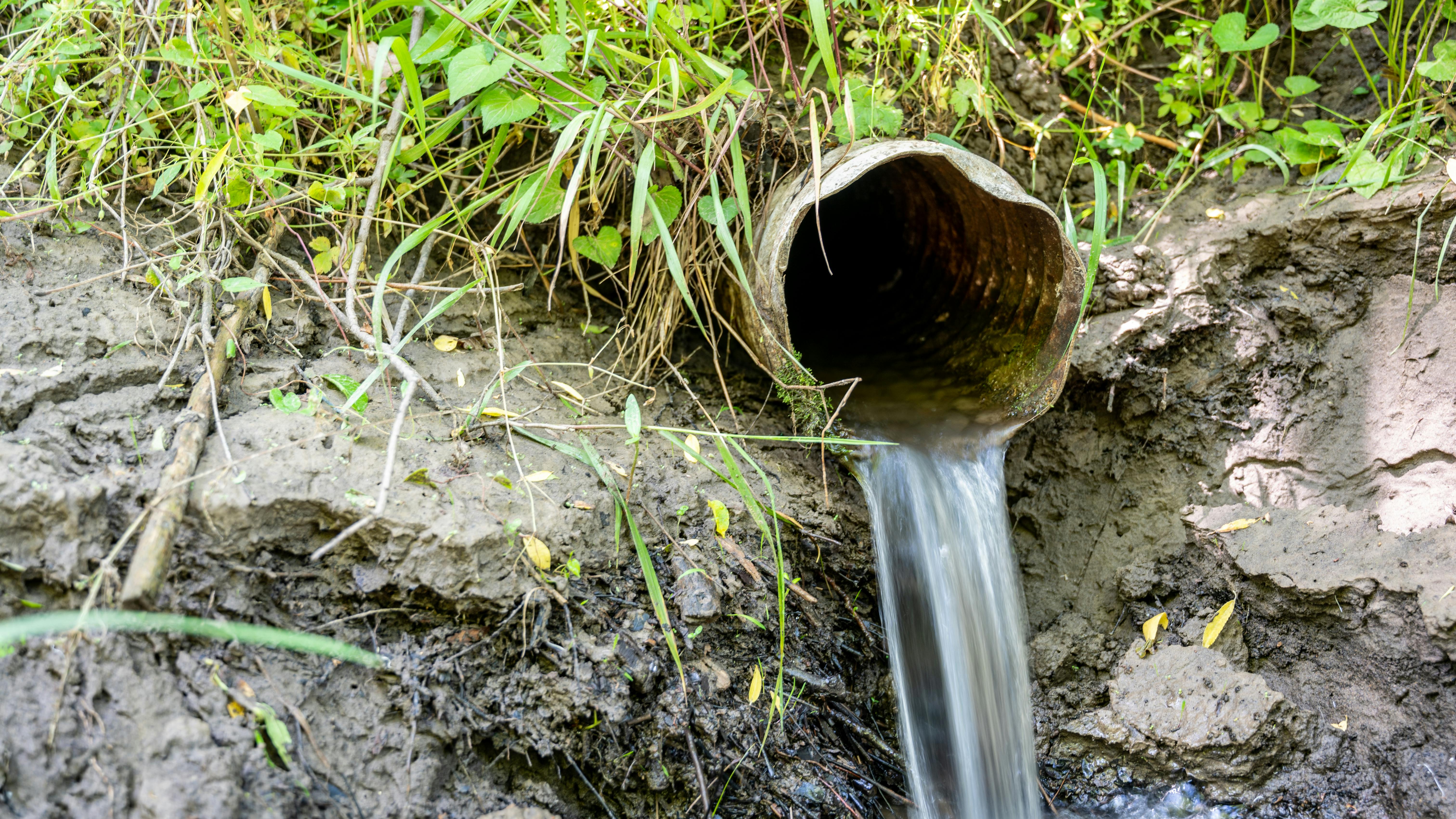 dreamstime_xxl_187189116