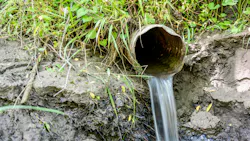 69821ca8576ab958e03fbafd Dreamstime Xxl 187189116 69821ca8576ab958e03fbafd Dreamstime Xxl 187189116