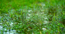 698600fe6552022f493275b1 Dreamstime Xxl 241528874 698600fe6552022f493275b1 Dreamstime Xxl 241528874