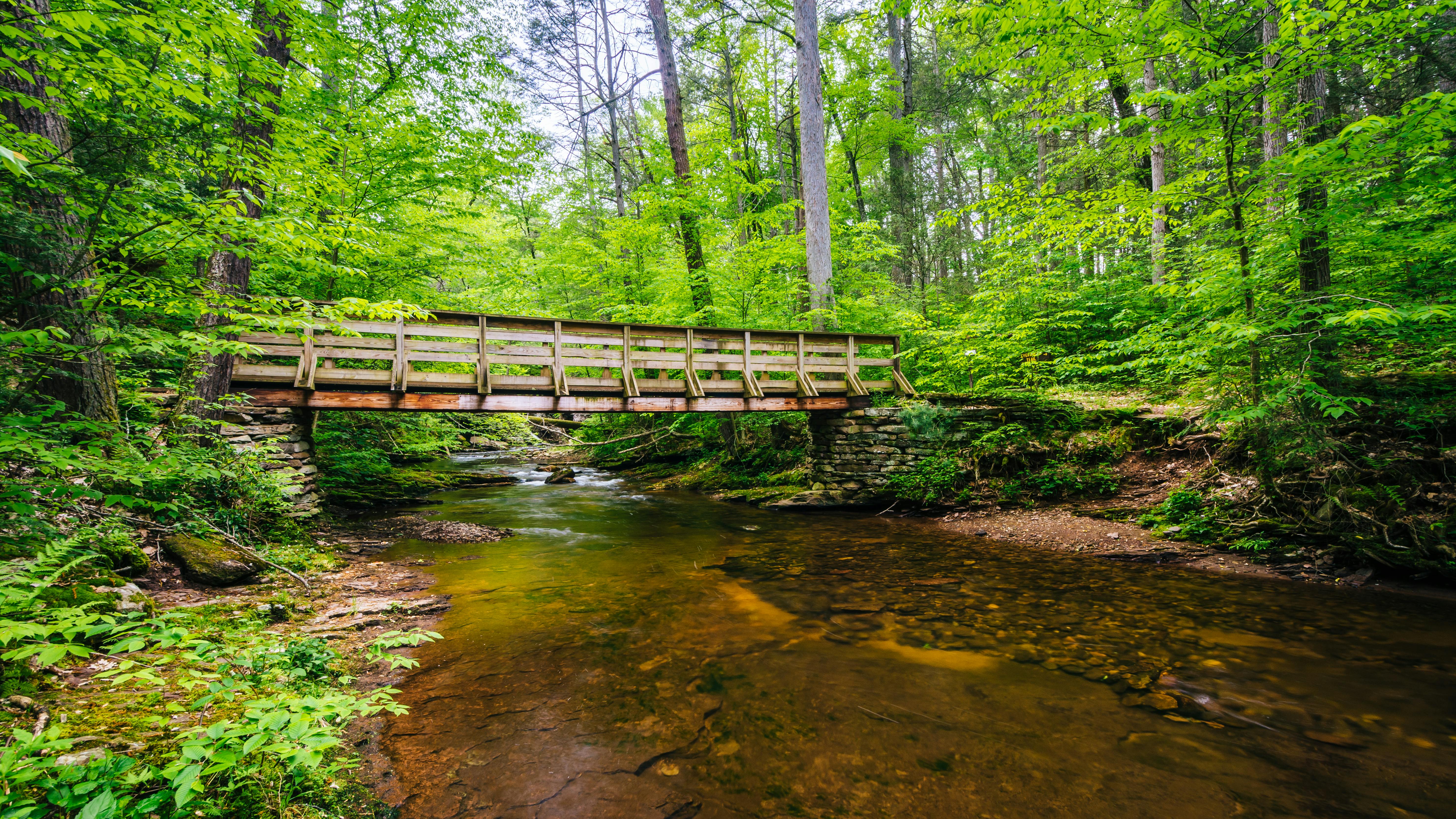 69934507f49e22ecef093979 Dreamstime Xxl 147485416